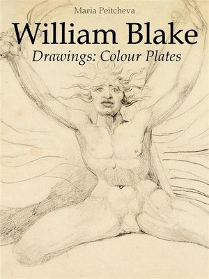 cover image of William Blake Drawings